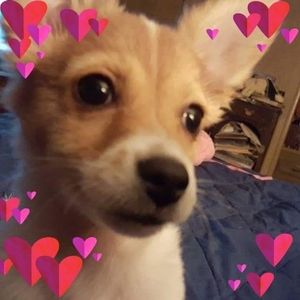 Meet your Posher, Joann